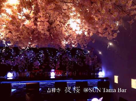 吉祥寺 SUN Tama Barのプレスリリース画像2