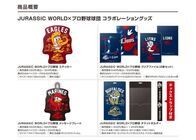 株式会社スペースエイジのプレスリリース画像4