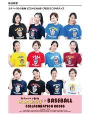 株式会社スペースエイジのプレスリリース画像2