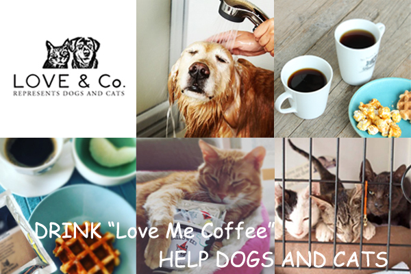 一般社団法人 LOVE &amp; Co.のプレスリリース画像1