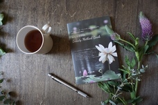 合同会社ミニマムのプレスリリース