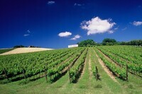 株式会社ダイナックのプレスリリース画像5