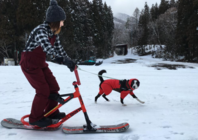 株式会社アイコンズのプレスリリース画像3