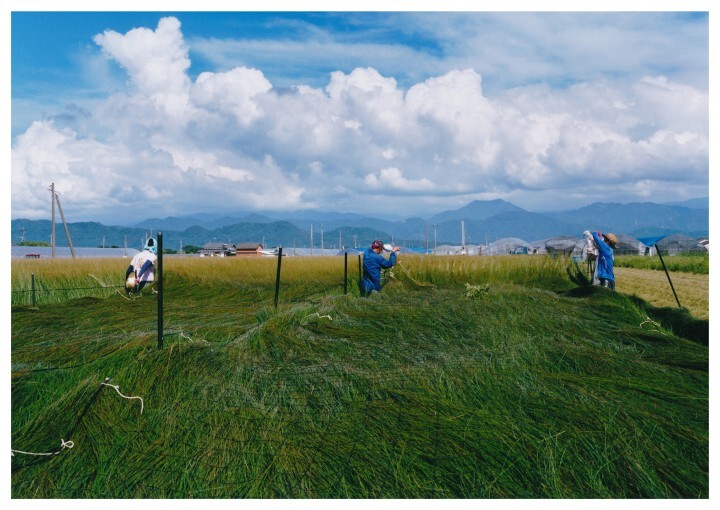 株式会社日本の森と家のプレスリリース画像4