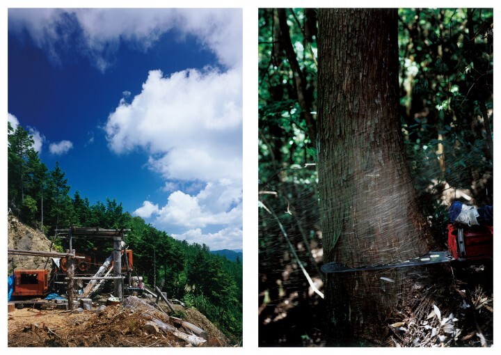 株式会社日本の森と家のプレスリリース画像5