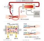 株式会社ペイシェントフッドのプレスリリース
