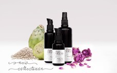 PureOild'orのプレスリリース