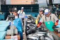 インビジョン株式会社のプレスリリース画像2