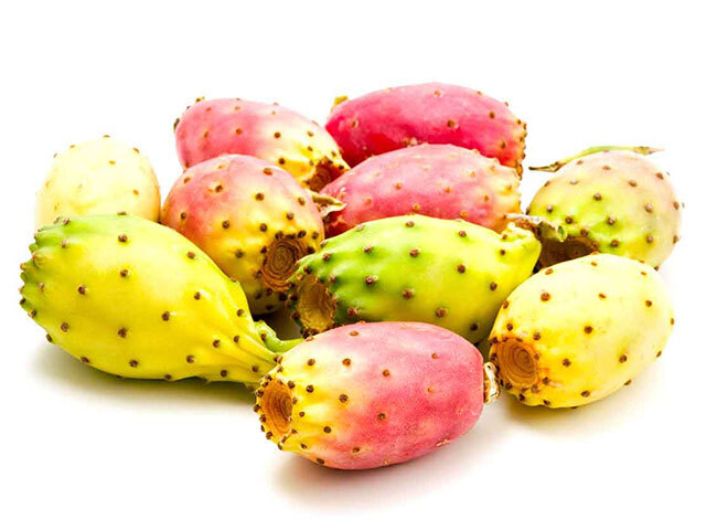 PureOild’orのプレスリリース画像2