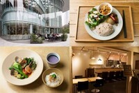 資生堂“ハラハチレシピ”PR事務局のプレスリリース画像2