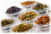 株式会社　ティーグレースのプレスリリース画像6