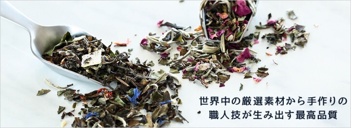 株式会社　ティーグレースのプレスリリース画像4