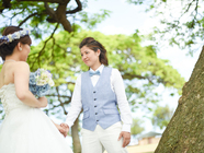 Novia Noviaのプレスリリース画像1