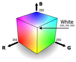 株式会社エディピットのプレスリリース画像2
