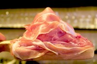 株式会社スペースワンのプレスリリース画像10