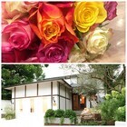 株式会社プレミア・ビューティ・アンド・スパのプレスリリース画像1