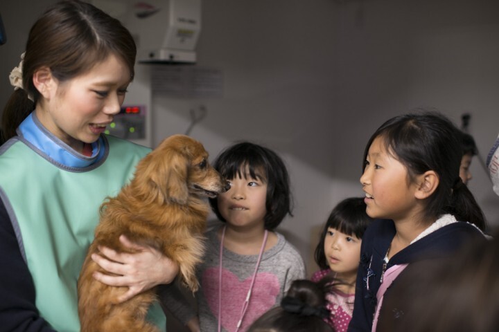 株式会社キャピタルメディカのプレスリリース画像1