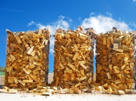 株式会社キャピタルメディカのプレスリリース画像1