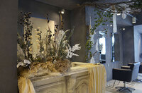 lune horoscopeのプレスリリース見出し画像