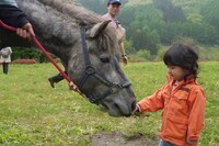 一般社団法人三陸駒舎のプレスリリース画像1