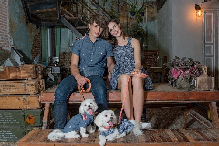 株式会社トップノッチのプレスリリース画像1