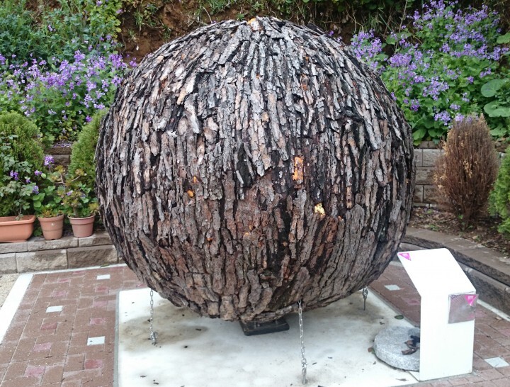 社会福祉法人 福田会のプレスリリース画像1