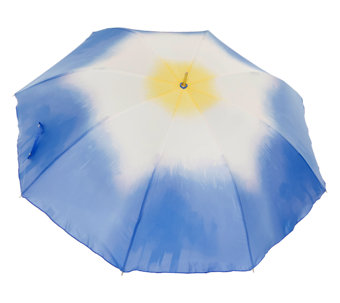 朝顔をモチーフにした傘が商品化 朝顔アンブレラ のイラストを実現化 株式会社フレントレップのプレスリリース
