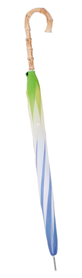 株式会社フレントレップのプレスリリース画像6