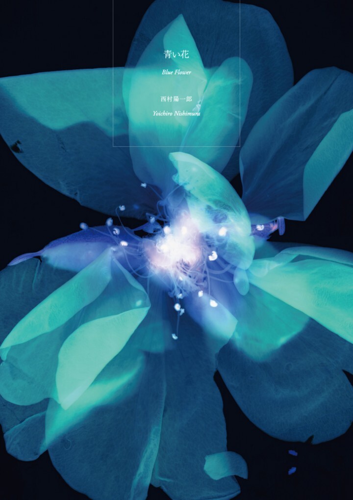 株式会社鎌倉現代のプレスリリース画像1