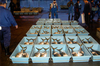 株式会社にっぱんのプレスリリース画像2