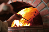 株式会社にっぱんのプレスリリース