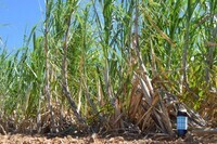 アビコムデザイン合同会社のプレスリリース画像9