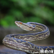 アビコムデザイン合同会社のプレスリリース画像5