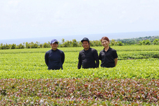 アビコムデザイン合同会社のプレスリリース画像10