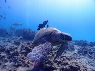 株式会社フューネットコーポレーションのプレスリリース画像2