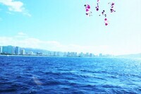 株式会社フューネットコーポレーションのプレスリリース画像3