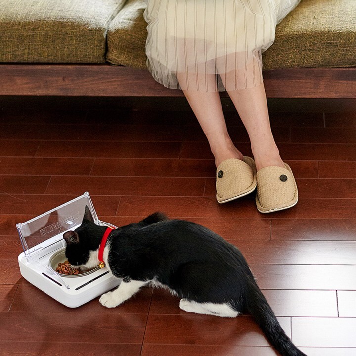 株式会社オーエフティーのプレスリリース画像1