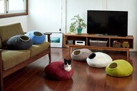 株式会社オーエフティーのプレスリリース画像2