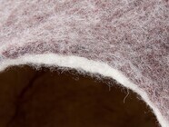 株式会社オーエフティーのプレスリリース画像6