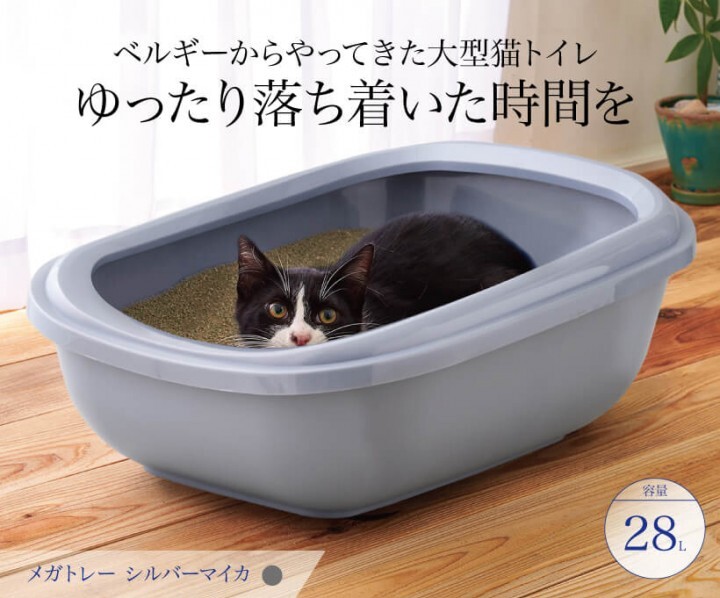 株式会社オーエフティーのプレスリリース画像1