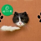 株式会社オーエフティーのプレスリリース画像1