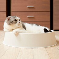 株式会社オーエフティーのプレスリリース画像1