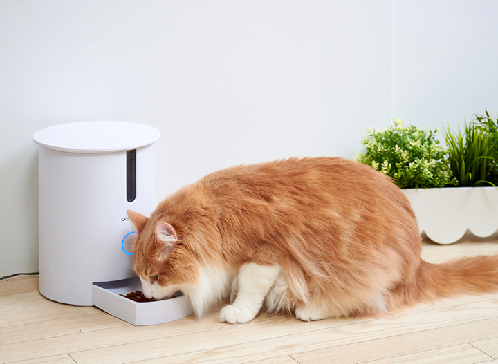 株式会社オーエフティーのプレスリリース画像1