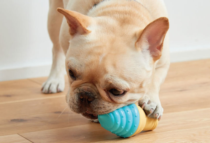 株式会社オーエフティーのプレスリリース画像1