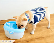 株式会社オーエフティーのプレスリリース画像1