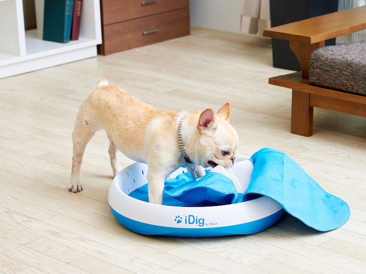 新発想 愛犬が夢中になる穴掘りおもちゃ Idig Stay を発売しました 株式会社オーエフティーのプレスリリース