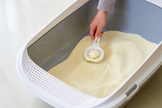 株式会社オーエフティーのプレスリリース画像1