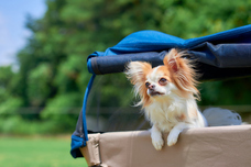 株式会社オーエフティーのプレスリリース画像1