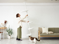 株式会社オーエフティーのプレスリリース画像1