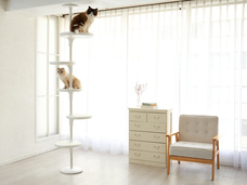 株式会社オーエフティーのプレスリリース画像4